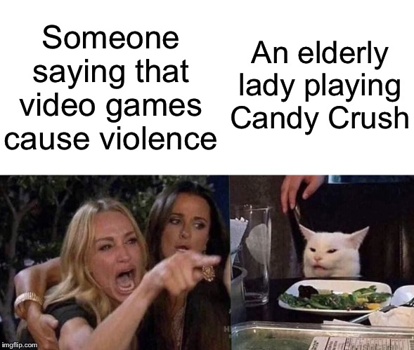 woman yelling at cat | Someone saying that video games cause violence; An elderly lady playing Candy Crush | image tagged in woman yelling at cat,video games,mass shooting,memes,funny | made w/ Imgflip meme maker