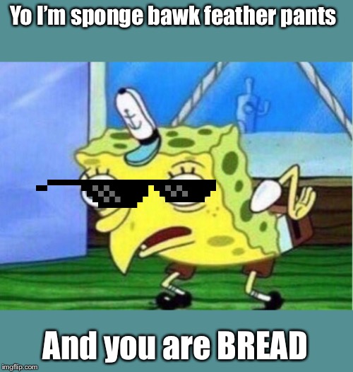 Mocking Spongebob Meme | Yo I’m sponge bawk feather pants; And you are BREAD | image tagged in memes,mocking spongebob | made w/ Imgflip meme maker