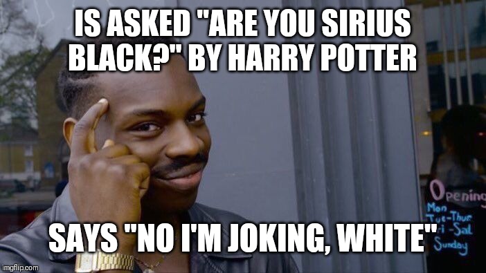 Roll Safe Think About It | IS ASKED "ARE YOU SIRIUS BLACK?" BY HARRY POTTER; SAYS "NO I'M JOKING, WHITE" | image tagged in memes,roll safe think about it | made w/ Imgflip meme maker