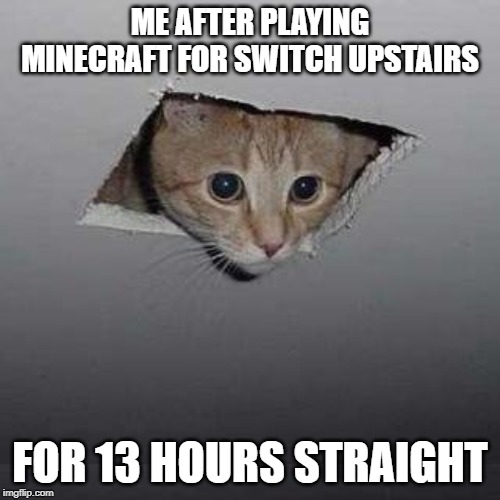 Ceiling Cat | ME AFTER PLAYING MINECRAFT FOR SWITCH UPSTAIRS; FOR 13 HOURS STRAIGHT | image tagged in memes,ceiling cat | made w/ Imgflip meme maker