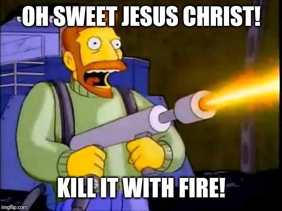 Kill it with fire | OH SWEET JESUS CHRIST! KILL IT WITH FIRE! | image tagged in kill it with fire | made w/ Imgflip meme maker