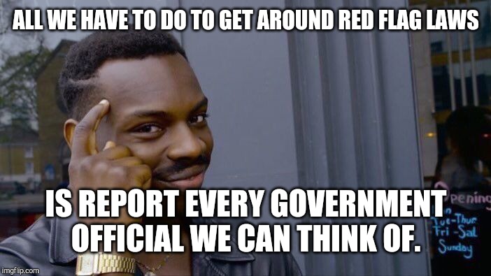 Roll Safe Think About It | ALL WE HAVE TO DO TO GET AROUND RED FLAG LAWS; IS REPORT EVERY GOVERNMENT OFFICIAL WE CAN THINK OF. | image tagged in memes,roll safe think about it | made w/ Imgflip meme maker