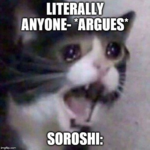 Screaming Cat meme | LITERALLY ANYONE- *ARGUES*; SOROSHI: | image tagged in screaming cat meme | made w/ Imgflip meme maker