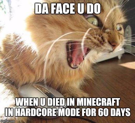 angry cat | DA FACE U DO; WHEN U DIED IN MINECRAFT IN HARDCORE MODE FOR 60 DAYS | image tagged in angry cat | made w/ Imgflip meme maker