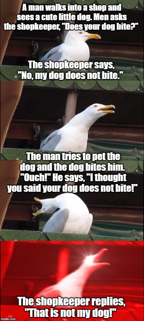 Inhaling Seagull Meme | A man walks into a shop and sees a cute little dog. Men asks the shopkeeper, "Does your dog bite?"; The shopkeeper says, "No, my dog does not bite."; The man tries to pet the dog and the dog bites him. 
"Ouch!" He says, "I thought you said your dog does not bite!"; The shopkeeper replies, "That is not my dog!" | image tagged in memes,inhaling seagull | made w/ Imgflip meme maker
