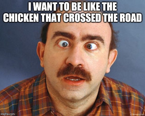 crosseyed | I WANT TO BE LIKE THE CHICKEN THAT CROSSED THE ROAD | image tagged in crosseyed | made w/ Imgflip meme maker