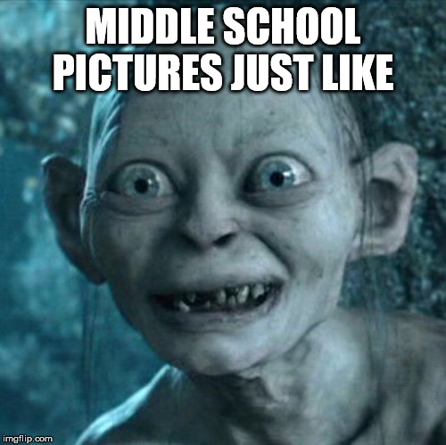 Gollum | MIDDLE SCHOOL PICTURES JUST LIKE | image tagged in memes,gollum | made w/ Imgflip meme maker