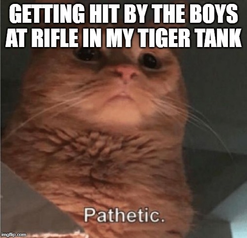 Pathetic Cat | GETTING HIT BY THE BOYS AT RIFLE IN MY TIGER TANK | image tagged in pathetic cat | made w/ Imgflip meme maker