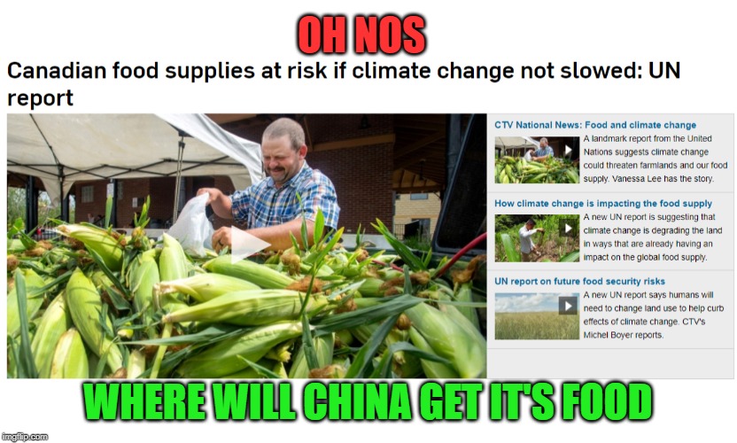 We have so much we sell it to other countries | OH NOS; WHERE WILL CHINA GET IT'S FOOD | image tagged in chinese food,meanwhile in canada,united nations,idiots,conspiracy theory,climate change | made w/ Imgflip meme maker