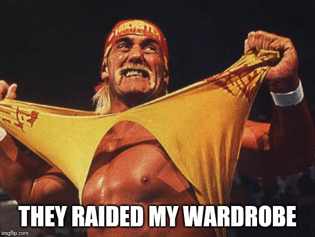 hulk hogan | THEY RAIDED MY WARDROBE | image tagged in hulk hogan | made w/ Imgflip meme maker