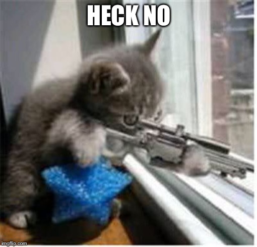 cats with guns | HECK NO | image tagged in cats with guns | made w/ Imgflip meme maker