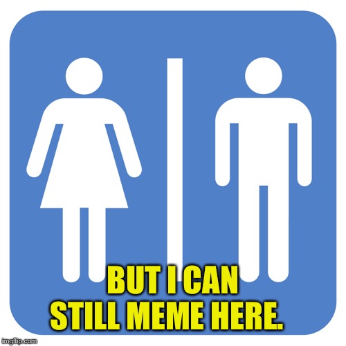 Restroom Sign | BUT I CAN STILL MEME HERE. | image tagged in restroom sign | made w/ Imgflip meme maker