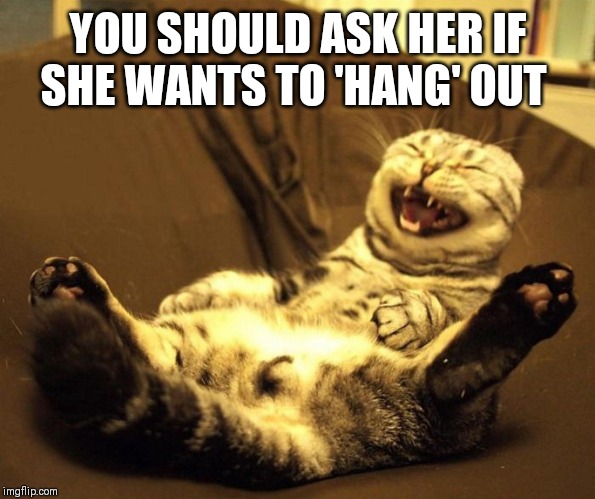 laughing cat | YOU SHOULD ASK HER IF SHE WANTS TO 'HANG' OUT | image tagged in laughing cat | made w/ Imgflip meme maker