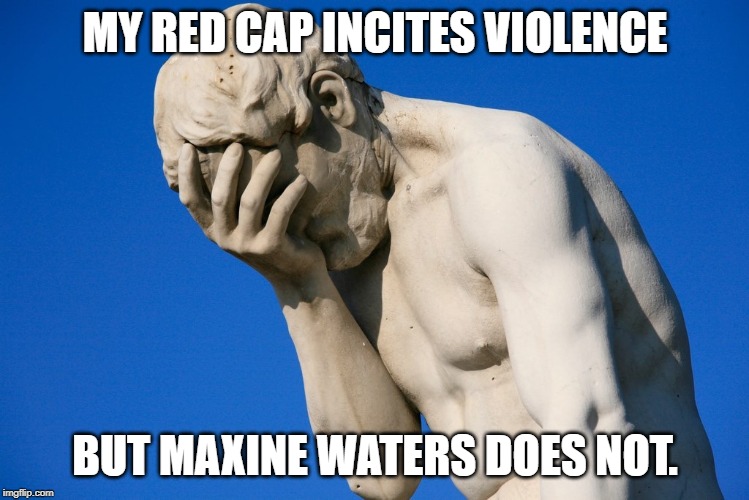 Face palm statue | MY RED CAP INCITES VIOLENCE; BUT MAXINE WATERS DOES NOT. | image tagged in face palm statue | made w/ Imgflip meme maker