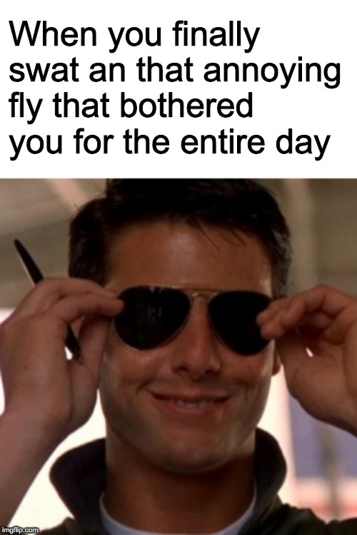 Boogie down! Boogie down! | When you finally swat an that annoying fly that bothered you for the entire day | image tagged in top gun tom cruise,fly,swatting | made w/ Imgflip meme maker