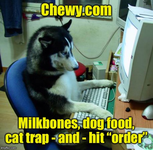 Like a boss | Chewy.com; Milkbones, dog food, cat trap - and - hit “order” | image tagged in memes,i have no idea what i am doing,cat trap,dog ordering,funny memes | made w/ Imgflip meme maker