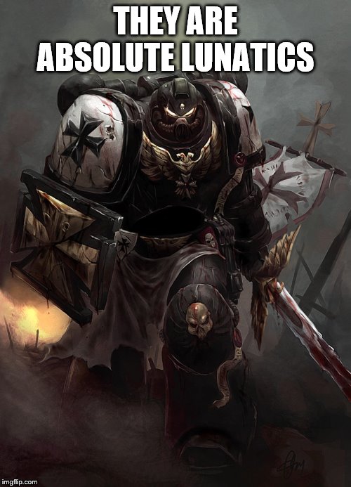 Warhammer 40k Black Templar | THEY ARE ABSOLUTE LUNATICS | image tagged in warhammer 40k black templar | made w/ Imgflip meme maker