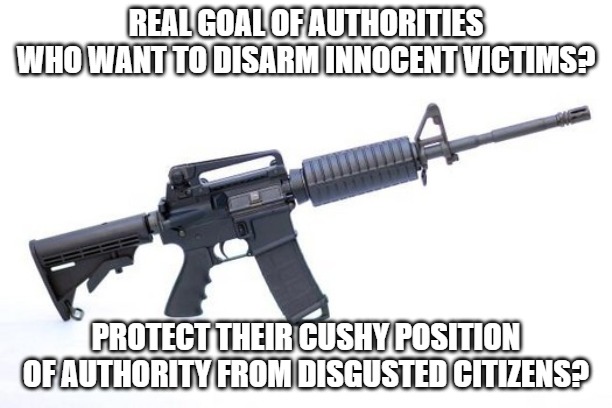 Stop Gun Violence  | REAL GOAL OF AUTHORITIES WHO WANT TO DISARM INNOCENT VICTIMS? PROTECT THEIR CUSHY POSITION OF AUTHORITY FROM DISGUSTED CITIZENS? | image tagged in stop gun violence | made w/ Imgflip meme maker