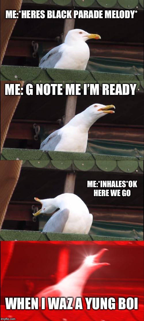 Inhaling Seagull Meme | ME:*HERES BLACK PARADE MELODY*; ME: G NOTE ME I’M READY; ME:*INHALES*OK HERE WE GO; WHEN I WAZ A YUNG BOI | image tagged in memes,inhaling seagull | made w/ Imgflip meme maker