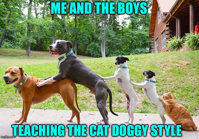 Me and the boys week. A CravenMoordik and Nixie.Knox event (Aug. 19-25) this event will be the dogs. |  ME AND THE BOYS; TEACHING THE CAT DOGGY STYLE | image tagged in me and the boys week,cravenmoordik,nixieknox,event,coming soon,doggy | made w/ Imgflip meme maker