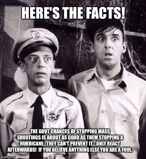 Barney n Gomer | HERE'S THE FACTS! THE GOVT CHANCES OF STOPPING MASS SHOOTINGS IS ABOUT AS GOOD AS THEM STOPPING A HURRICANE...THEY CAN'T PREVENT IT....ONLY REACT AFTERWARDS!  IF YOU BELIEVE ANYTHING ELSE YOU ARE A FOOL. | image tagged in barney n gomer | made w/ Imgflip meme maker