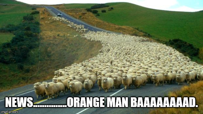 sheep | NEWS...............ORANGE MAN BAAAAAAAAD. | image tagged in sheep | made w/ Imgflip meme maker