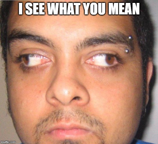 Crossed eyes | I SEE WHAT YOU MEAN | image tagged in crossed eyes | made w/ Imgflip meme maker
