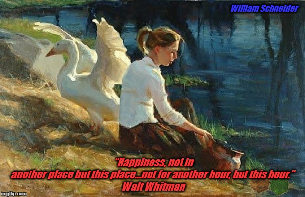 SWAN LAKE | William Schneider; “Happiness, not in another place but this place...not for another hour, but this hour.” 
Walt Whitman | image tagged in swan lake | made w/ Imgflip meme maker