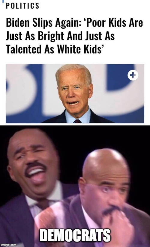 Probably just a slip of the racist tongue | DEMOCRATS | image tagged in steve harvey laughing serious,democrats,politics,race,political meme | made w/ Imgflip meme maker