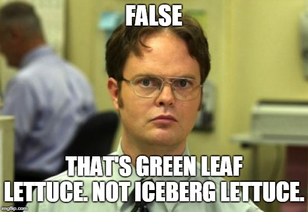 Dwight Schrute Meme | FALSE THAT'S GREEN LEAF LETTUCE. NOT ICEBERG LETTUCE. | image tagged in memes,dwight schrute | made w/ Imgflip meme maker