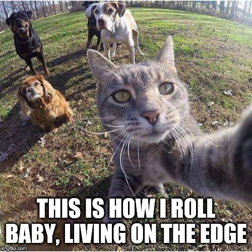 Taking selfies with the squad | THIS IS HOW I ROLL BABY, LIVING ON THE EDGE | image tagged in taking selfies with the squad | made w/ Imgflip meme maker
