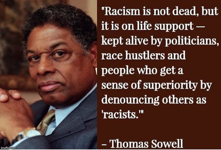 Jesse and Al taught the rest of the party the currency of being race hustlers | image tagged in sowell,al sharpton racist,jesse jackson | made w/ Imgflip meme maker