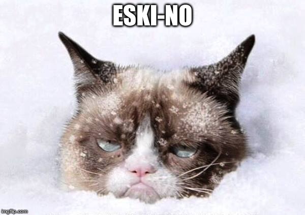 I’m an Eski-no | ESKI-NO | image tagged in grumpy cat snow | made w/ Imgflip meme maker