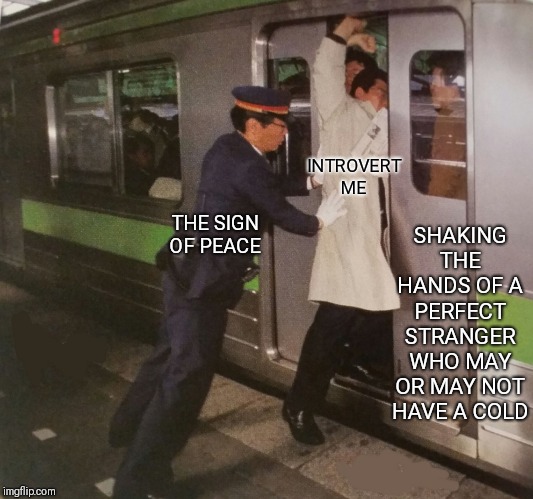 Subway pusher | SHAKING THE HANDS OF A PERFECT STRANGER WHO MAY OR MAY NOT HAVE A COLD; INTROVERT ME; THE SIGN OF PEACE | image tagged in subway pusher | made w/ Imgflip meme maker