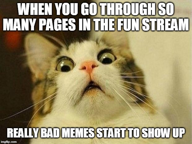 I went too deep and needed rescuing | WHEN YOU GO THROUGH SO MANY PAGES IN THE FUN STREAM; REALLY BAD MEMES START TO SHOW UP | image tagged in memes,scared cat,fun,bad memes | made w/ Imgflip meme maker