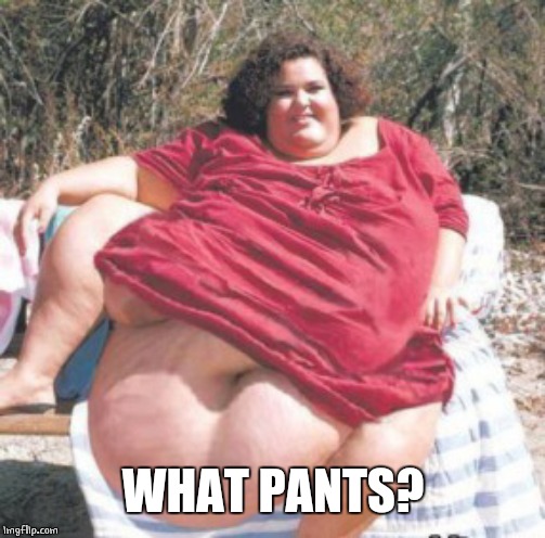 really fat chick | WHAT PANTS? | image tagged in really fat chick | made w/ Imgflip meme maker