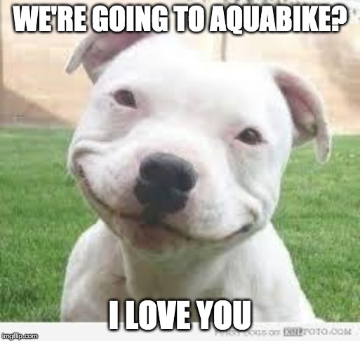 Happy Friday Puppy |  WE'RE GOING TO AQUABIKE? I LOVE YOU | image tagged in happy friday puppy | made w/ Imgflip meme maker