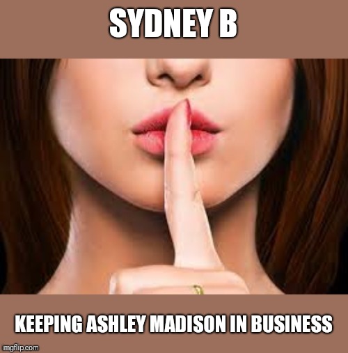 SYDNEY B KEEPING ASHLEY MADISON IN BUSINESS | image tagged in ashley madison | made w/ Imgflip meme maker