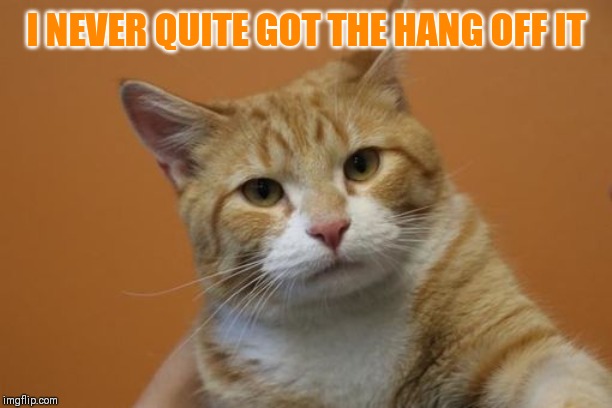 Unamused Cat | I NEVER QUITE GOT THE HANG OFF IT | image tagged in unamused cat | made w/ Imgflip meme maker