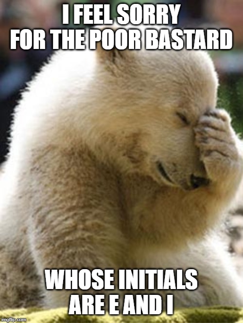 Facepalm Bear Meme | I FEEL SORRY FOR THE POOR BASTARD WHOSE INITIALS ARE E AND I | image tagged in memes,facepalm bear | made w/ Imgflip meme maker