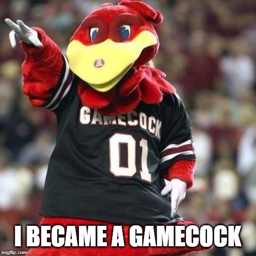 Gamecock | I BECAME A GAMECOCK | image tagged in gamecock | made w/ Imgflip meme maker