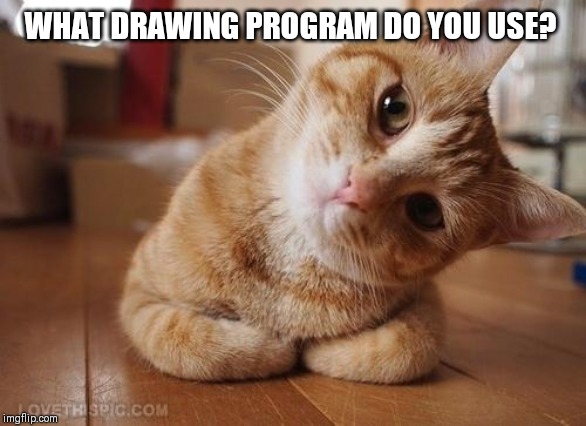 Curious Question Cat | WHAT DRAWING PROGRAM DO YOU USE? | image tagged in curious question cat | made w/ Imgflip meme maker