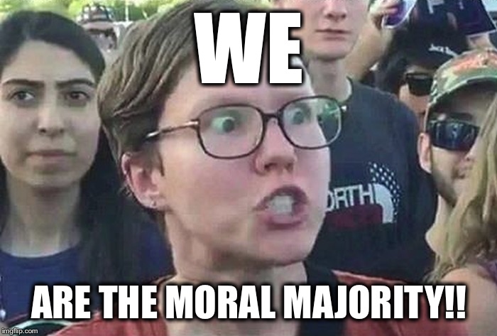 Triggered Liberal | WE ARE THE MORAL MAJORITY!! | image tagged in triggered liberal | made w/ Imgflip meme maker