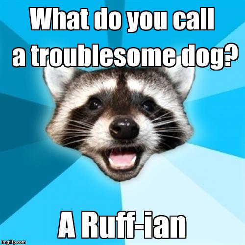 Lame Pun Coon | image tagged in memes,lame pun coon | made w/ Imgflip meme maker