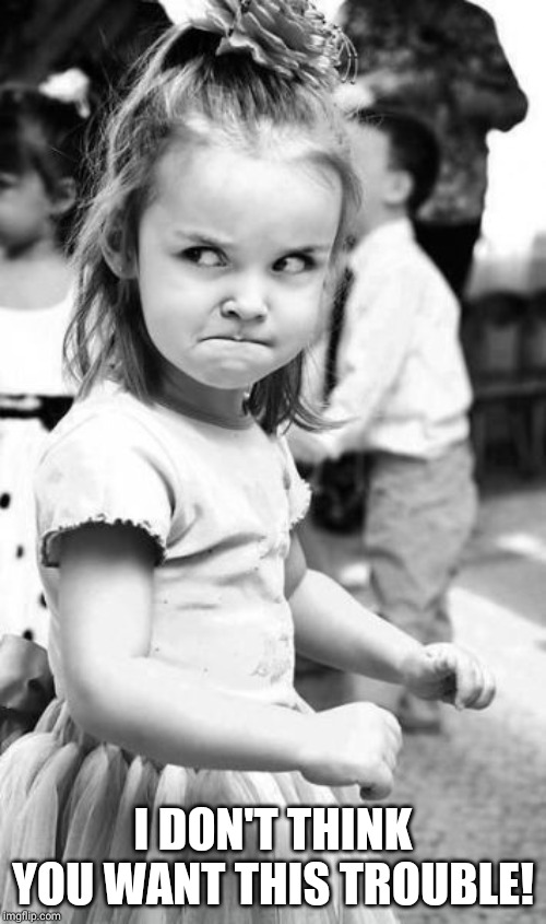 Angry Toddler Meme | I DON'T THINK YOU WANT THIS TROUBLE! | image tagged in memes,angry toddler | made w/ Imgflip meme maker
