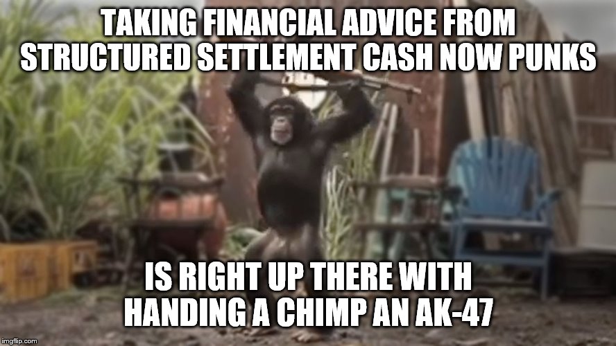 Monkey With AK-47 | TAKING FINANCIAL ADVICE FROM STRUCTURED SETTLEMENT CASH NOW PUNKS; IS RIGHT UP THERE WITH HANDING A CHIMP AN AK-47 | image tagged in monkey with ak-47 | made w/ Imgflip meme maker