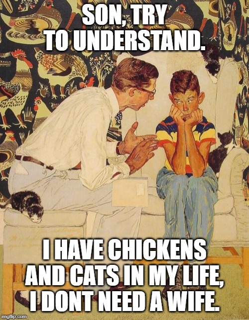 The Problem Is | SON, TRY TO UNDERSTAND. I HAVE CHICKENS AND CATS IN MY LIFE, I DONT NEED A WIFE. | image tagged in memes,the probelm is | made w/ Imgflip meme maker