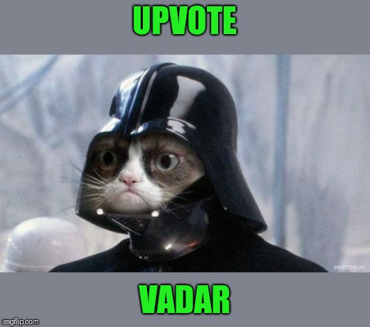 Grumpy Cat Star Wars Meme | UPVOTE VADAR | image tagged in memes,grumpy cat star wars,grumpy cat | made w/ Imgflip meme maker