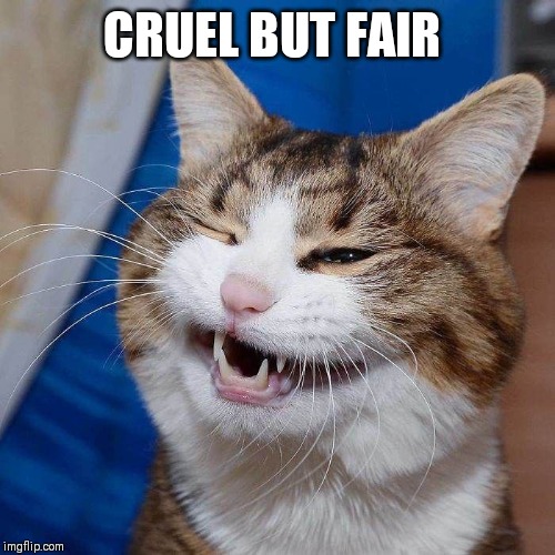 CRUEL BUT FAIR | made w/ Imgflip meme maker