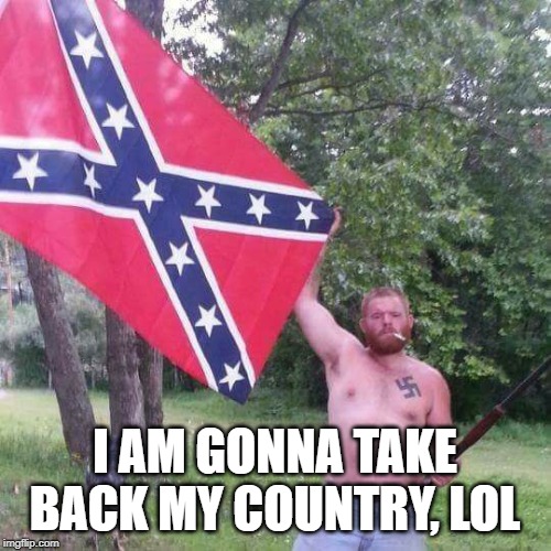 I AM GONNA TAKE BACK MY COUNTRY, LOL | image tagged in alt right | made w/ Imgflip meme maker